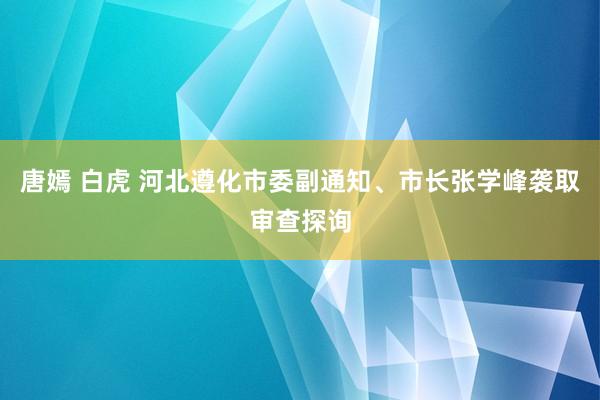 唐嫣 白虎 河北遵化市委副通知、市长张学峰袭取审查探询