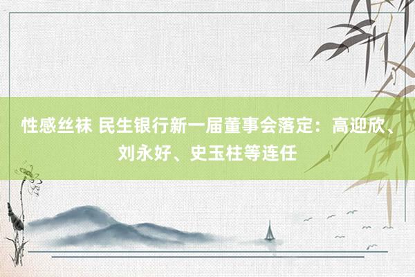 性感丝袜 民生银行新一届董事会落定：高迎欣、刘永好、史玉柱等连任