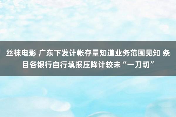 丝袜电影 广东下发计帐存量知道业务范围见知 条目各银行自行填报压降计较未“一刀切”