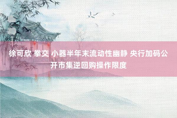 徐可欣 拳交 小器半年末流动性幽静 央行加码公开市集逆回购操作限度