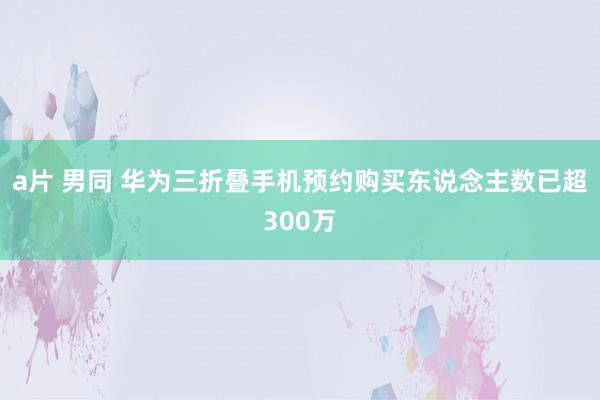 a片 男同 华为三折叠手机预约购买东说念主数已超300万