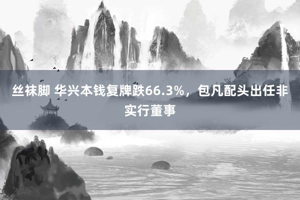 丝袜脚 华兴本钱复牌跌66.3%，包凡配头出任非实行董事