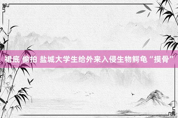 裙底 偷拍 盐城大学生给外来入侵生物鳄龟“摸骨”