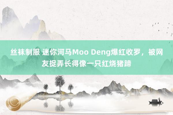 丝袜制服 迷你河马Moo Deng爆红收罗，被网友捉弄长得像一只红烧猪蹄