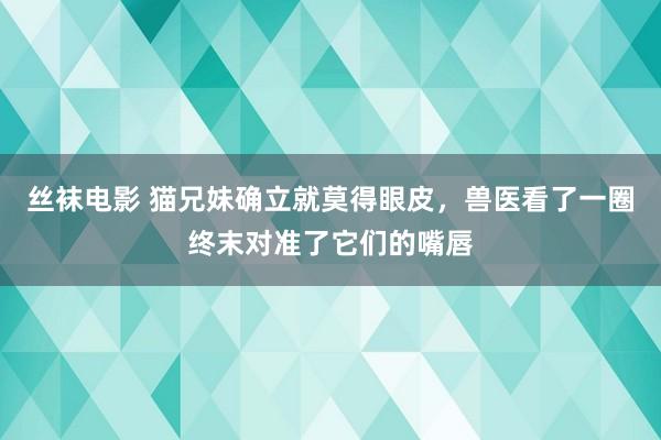 丝袜电影 猫兄妹确立就莫得眼皮，兽医看了一圈终末对准了它们的嘴唇