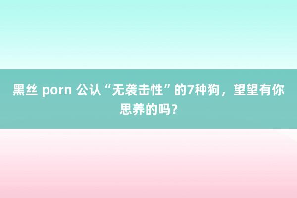 黑丝 porn 公认“无袭击性”的7种狗，望望有你思养的吗？