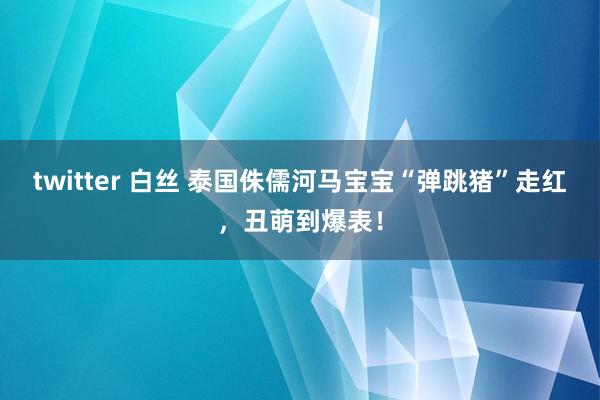 twitter 白丝 泰国侏儒河马宝宝“弹跳猪”走红，丑萌到爆表！