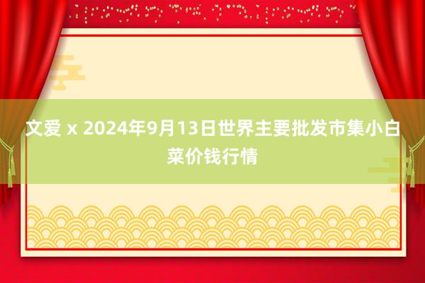 文爱 x 2024年9月13日世界主要批发市集小白菜价钱行情