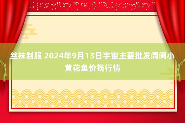 丝袜制服 2024年9月13日宇宙主要批发阛阓小黄花鱼价钱行情