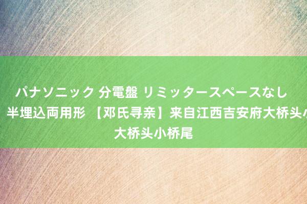 パナソニック 分電盤 リミッタースペースなし 露出・半埋込両用形 【邓氏寻亲】来自江西吉安府大桥头小桥尾