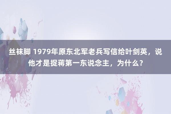 丝袜脚 1979年原东北军老兵写信给叶剑英，说他才是捉蒋第一东说念主，为什么？