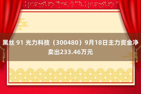 黑丝 91 光力科技（300480）9月18日主力资金净卖出233.46万元