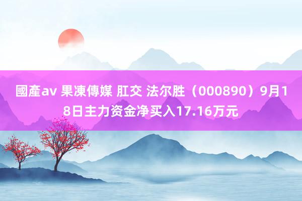 國產av 果凍傳媒 肛交 法尔胜（000890）9月18日主力资金净买入17.16万元