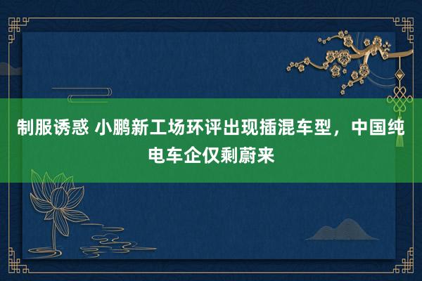 制服诱惑 小鹏新工场环评出现插混车型，中国纯电车企仅剩蔚来