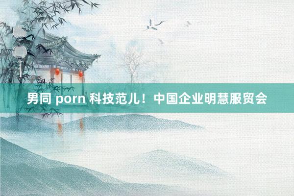 男同 porn 科技范儿！中国企业明慧服贸会