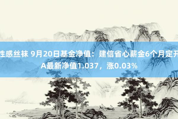 性感丝袜 9月20日基金净值：建信省心薪金6个月定开A最新净值1.037，涨0.03%