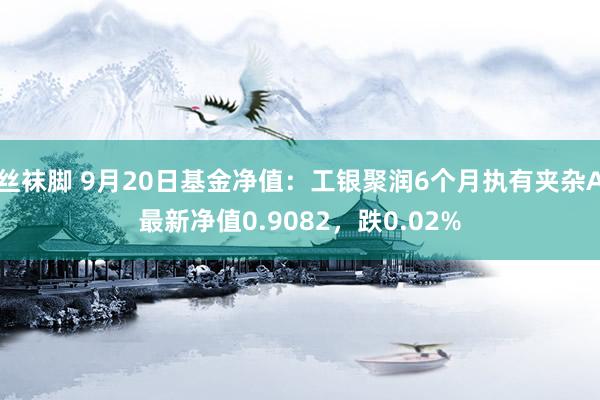 丝袜脚 9月20日基金净值：工银聚润6个月执有夹杂A最新净值0.9082，跌0.02%