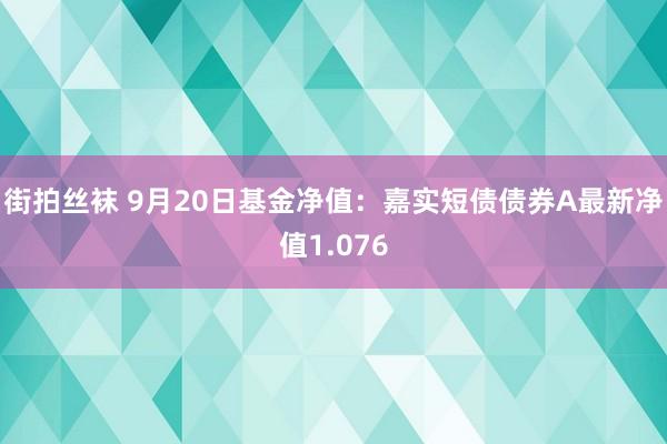 街拍丝袜 9月20日基金净值：嘉实短债债券A最新净值1.076