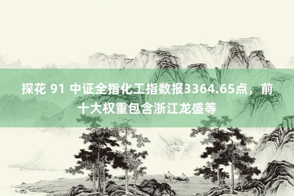 探花 91 中证全指化工指数报3364.65点，前十大权重包含浙江龙盛等