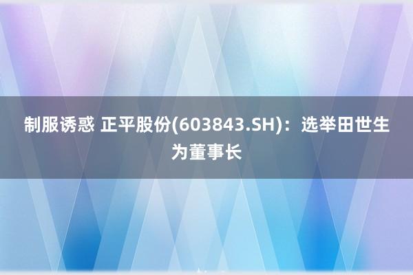 制服诱惑 正平股份(603843.SH)：选举田世生为董事长