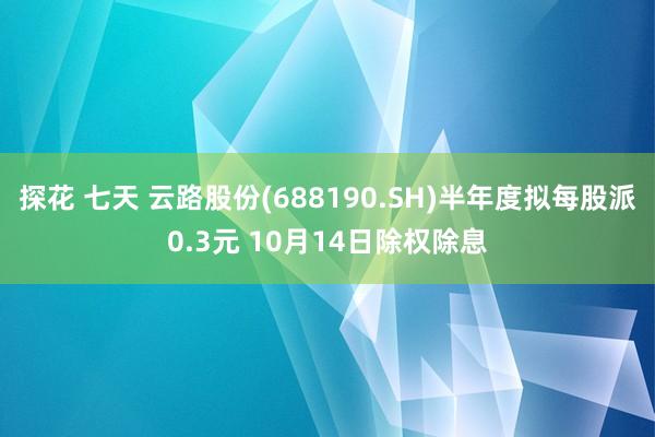 探花 七天 云路股份(688190.SH)半年度拟每股派0.3元 10月14日除权除息