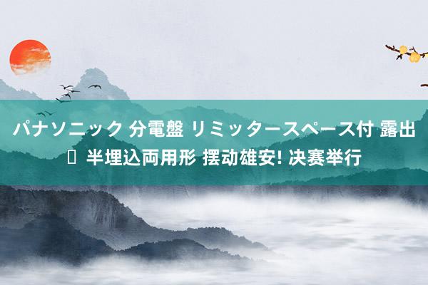 パナソニック 分電盤 リミッタースペース付 露出・半埋込両用形 摆动雄安! 决赛举行