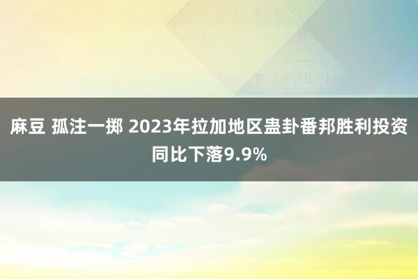 麻豆 孤注一掷 2023年拉加地区蛊卦番邦胜利投资同比下落9.9%