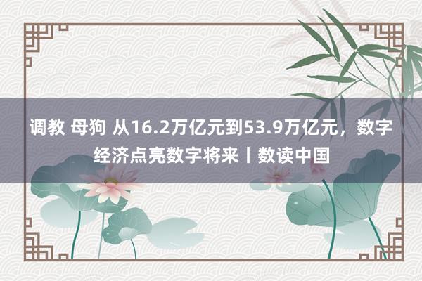 调教 母狗 从16.2万亿元到53.9万亿元，数字经济点亮数字将来丨数读中国