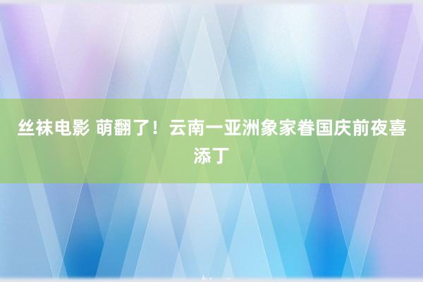 丝袜电影 萌翻了！云南一亚洲象家眷国庆前夜喜添丁