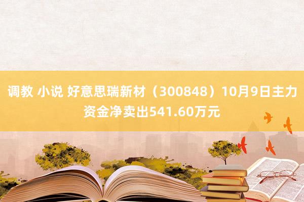 调教 小说 好意思瑞新材（300848）10月9日主力资金净卖出541.60万元