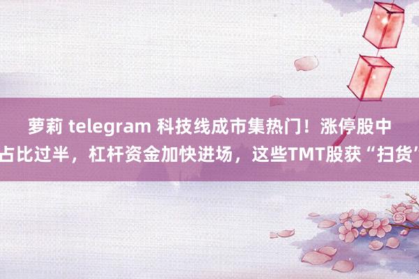 萝莉 telegram 科技线成市集热门！涨停股中占比过半，杠杆资金加快进场，这些TMT股获“扫货”