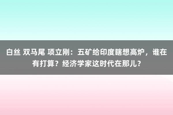 白丝 双马尾 项立刚：五矿给印度瞎想高炉，谁在有打算？经济学家这时代在那儿？