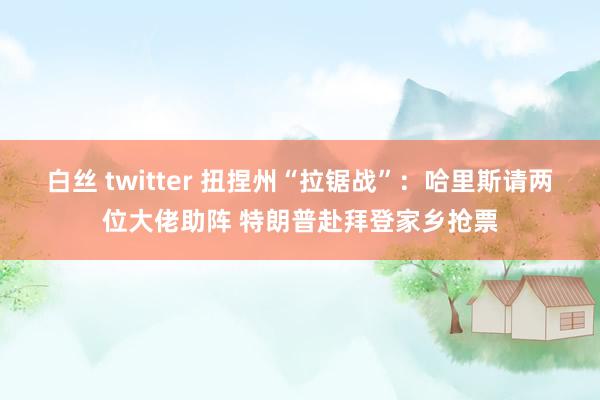 白丝 twitter 扭捏州“拉锯战”：哈里斯请两位大佬助阵 特朗普赴拜登家乡抢票