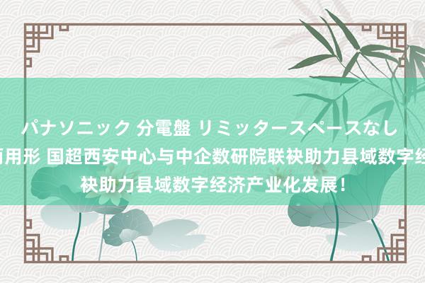 パナソニック 分電盤 リミッタースペースなし 露出・半埋込両用形 国超西安中心与中企数研院联袂助力县域数字经济产业化发展！