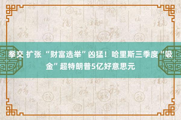 拳交 扩张 “财富选举”凶猛！哈里斯三季度“吸金”超特朗普5亿好意思元