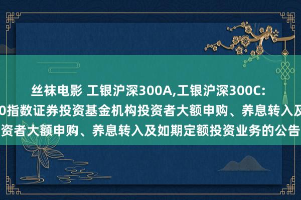 丝袜电影 工银沪深300A，工银沪深300C: 对于归附工银瑞信沪深300指数证券投资基金机构投资者大额申购、养息转入及如期定额投资业务的公告