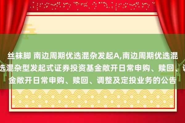 丝袜脚 南边周期优选混杂发起A，南边周期优选混杂发起C: 南边周期优选混杂型发起式证券投资基金敞开日常申购、赎回、调整及定投业务的公告