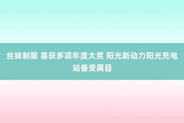 丝袜制服 喜获多项年度大奖 阳光新动力阳光充电站备受属目