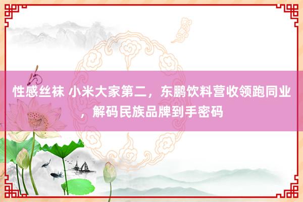 性感丝袜 小米大家第二，东鹏饮料营收领跑同业，解码民族品牌到手密码