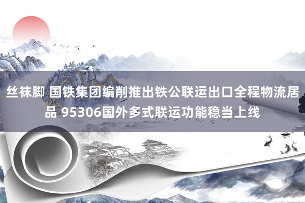 丝袜脚 国铁集团编削推出铁公联运出口全程物流居品 95306国外多式联运功能稳当上线