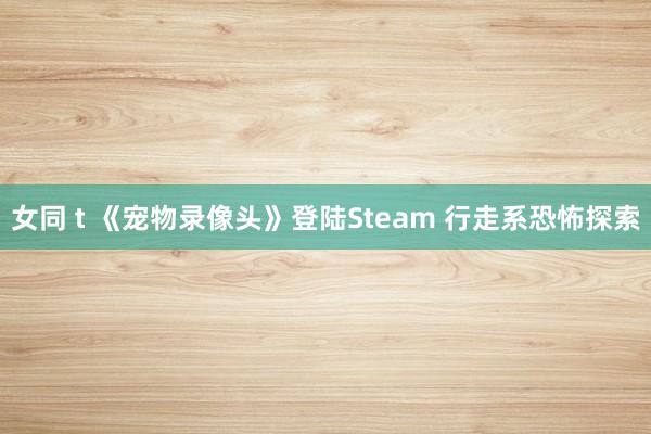 女同 t 《宠物录像头》登陆Steam 行走系恐怖探索