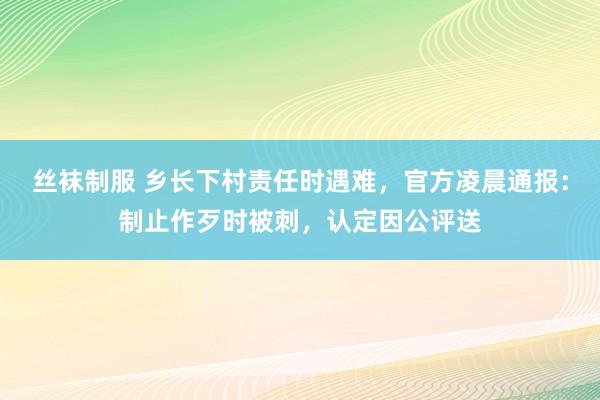 丝袜制服 乡长下村责任时遇难，官方凌晨通报：制止作歹时被刺，认定因公评送