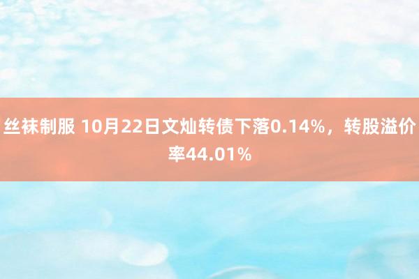 丝袜制服 10月22日文灿转债下落0.14%，转股溢价率44.01%