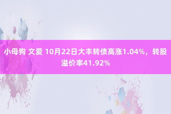 小母狗 文爱 10月22日大丰转债高涨1.04%，转股溢价率41.92%