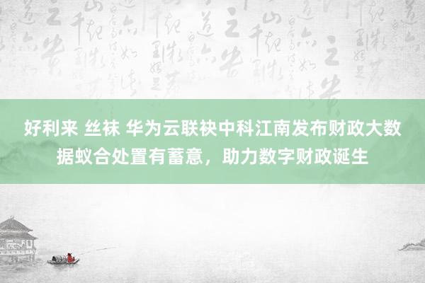 好利来 丝袜 华为云联袂中科江南发布财政大数据蚁合处置有蓄意，助力数字财政诞生