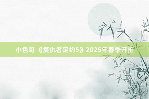 小色哥 《复仇者定约5》2025年春季开拍