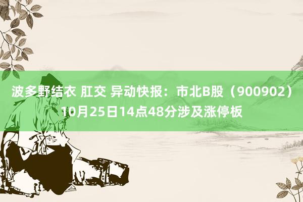 波多野结衣 肛交 异动快报：市北B股（900902）10月25日14点48分涉及涨停板