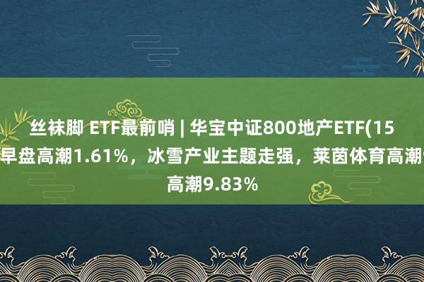 丝袜脚 ETF最前哨 | 华宝中证800地产ETF(159707)早盘高潮1.61%，冰雪产业主题走强，莱茵体育高潮9.83%