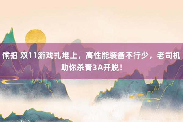 偷拍 双11游戏扎堆上，高性能装备不行少，老司机助你杀青3A开脱！