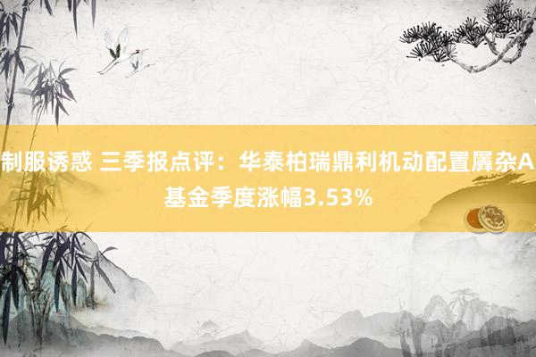 制服诱惑 三季报点评：华泰柏瑞鼎利机动配置羼杂A基金季度涨幅3.53%